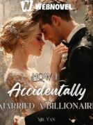 How I Accidentally Married a Billionaire