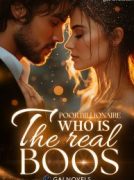Poor Billionaire Wife: Who is The Real Boss