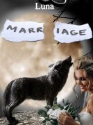 THE ALPHA’S BROKEN LUNA